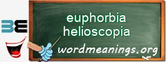 WordMeaning blackboard for euphorbia helioscopia
